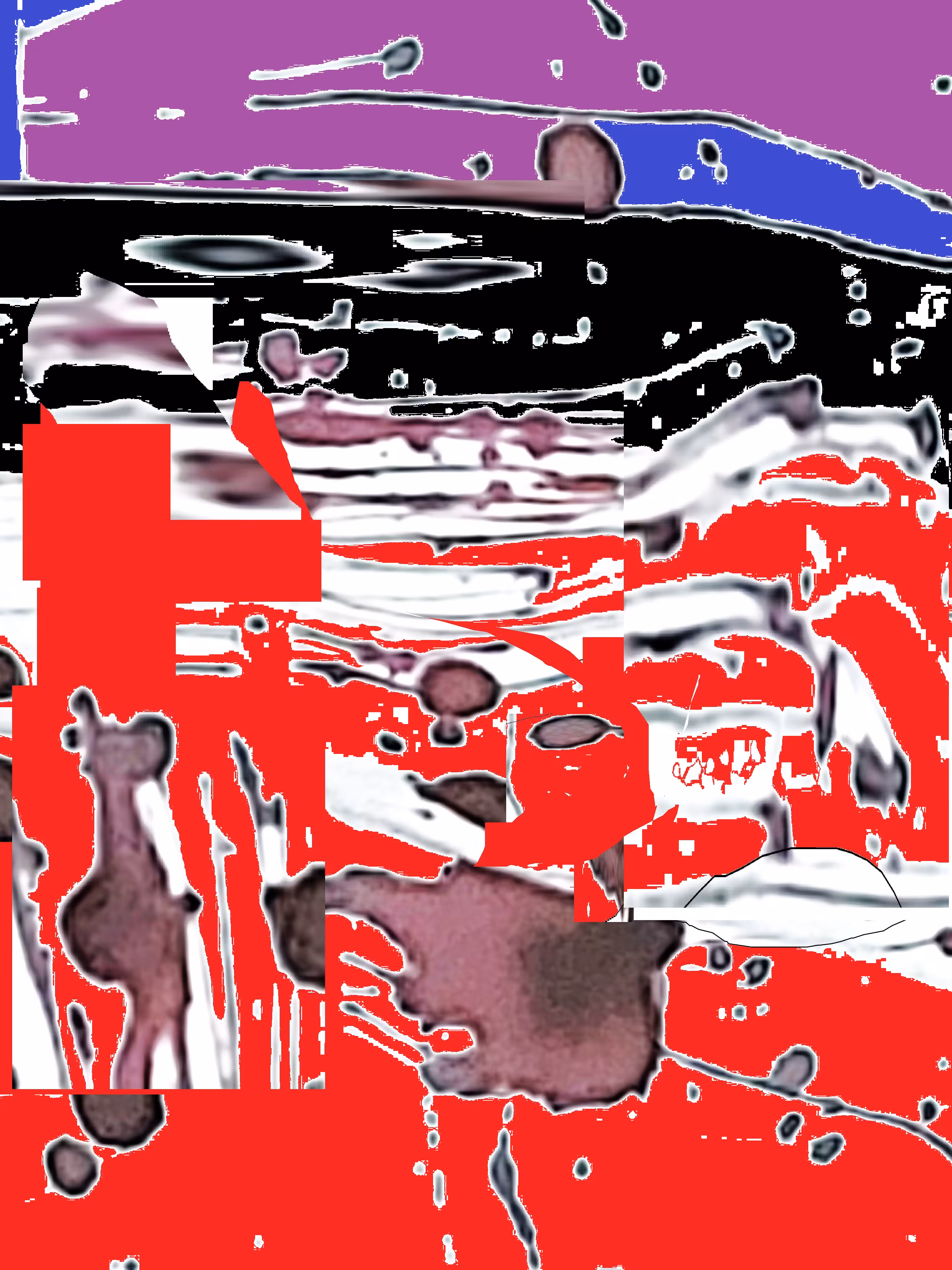 WIDMW