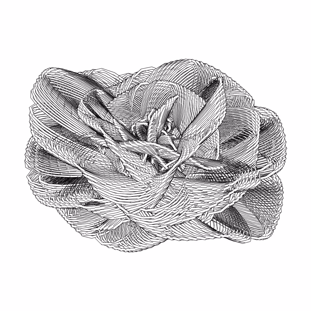 LL21 Entangled (3) #11
