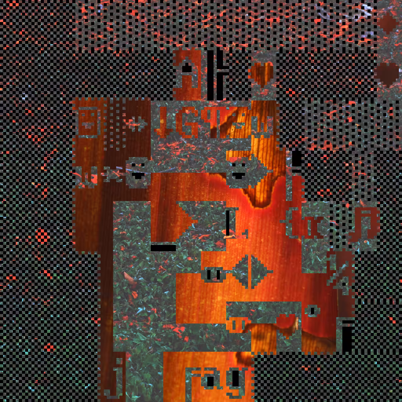 PhotoDOSpunk #3