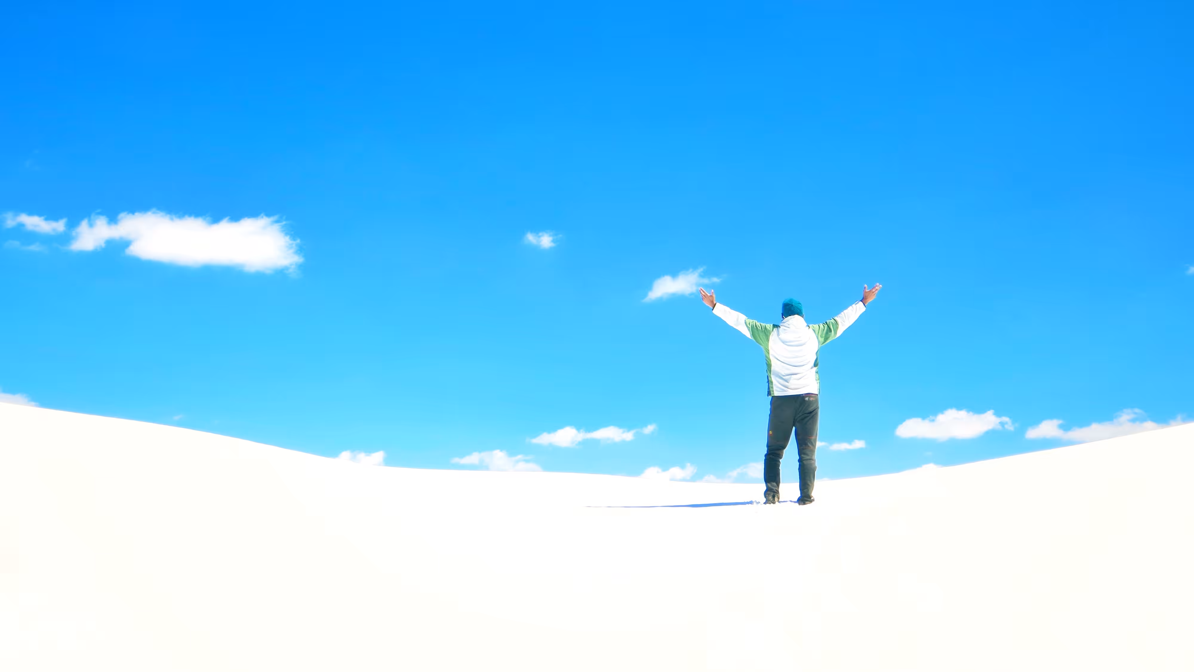 Free As a Brird