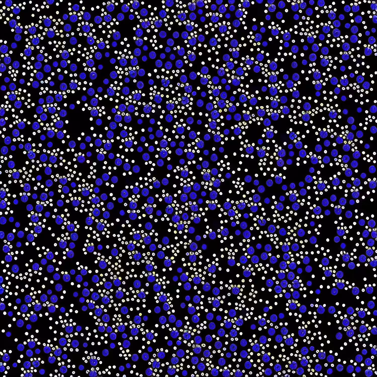 Intercellular Travel
