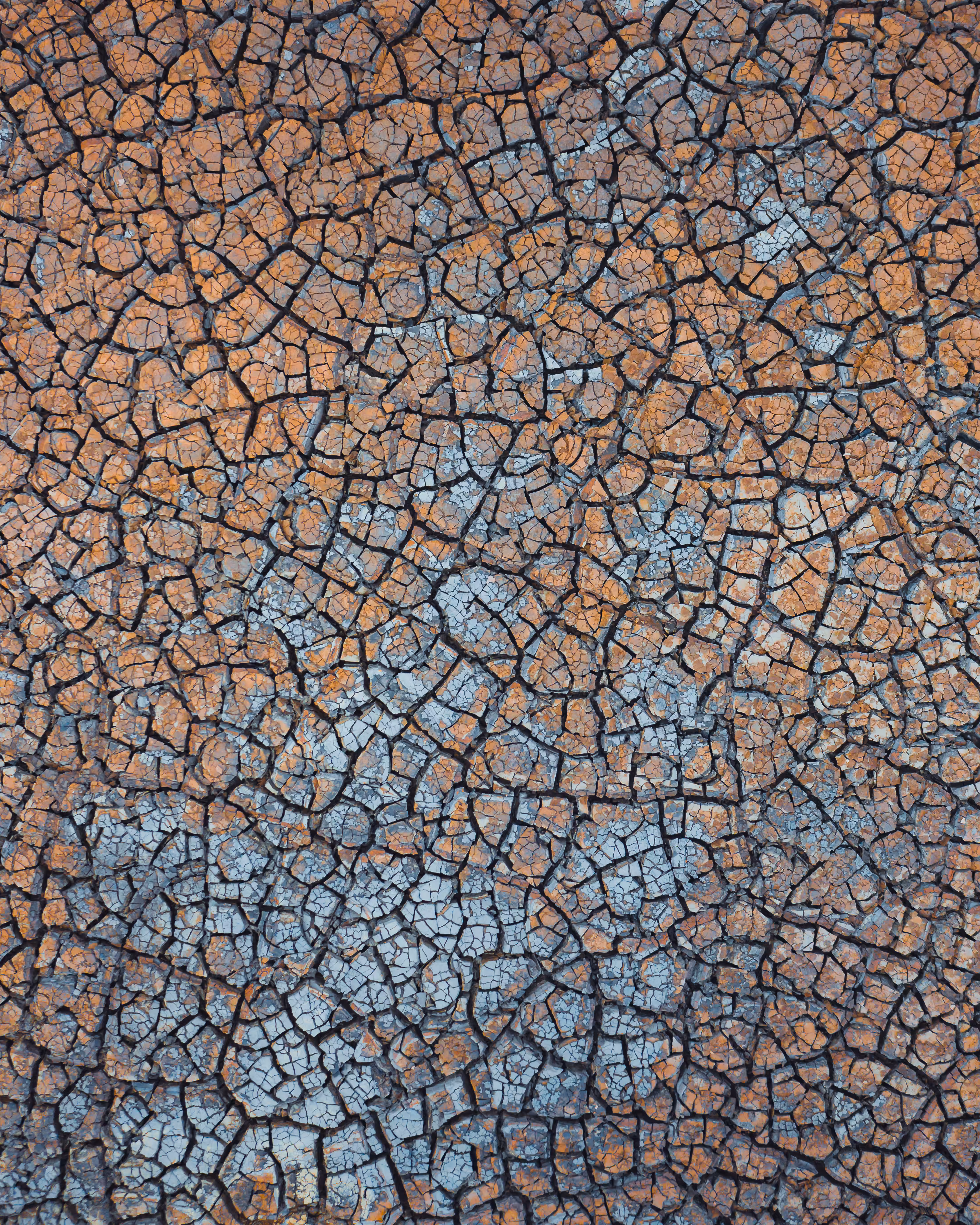 Rodeo posts: Geothermal Dreams III