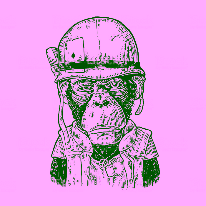 Monkeyking