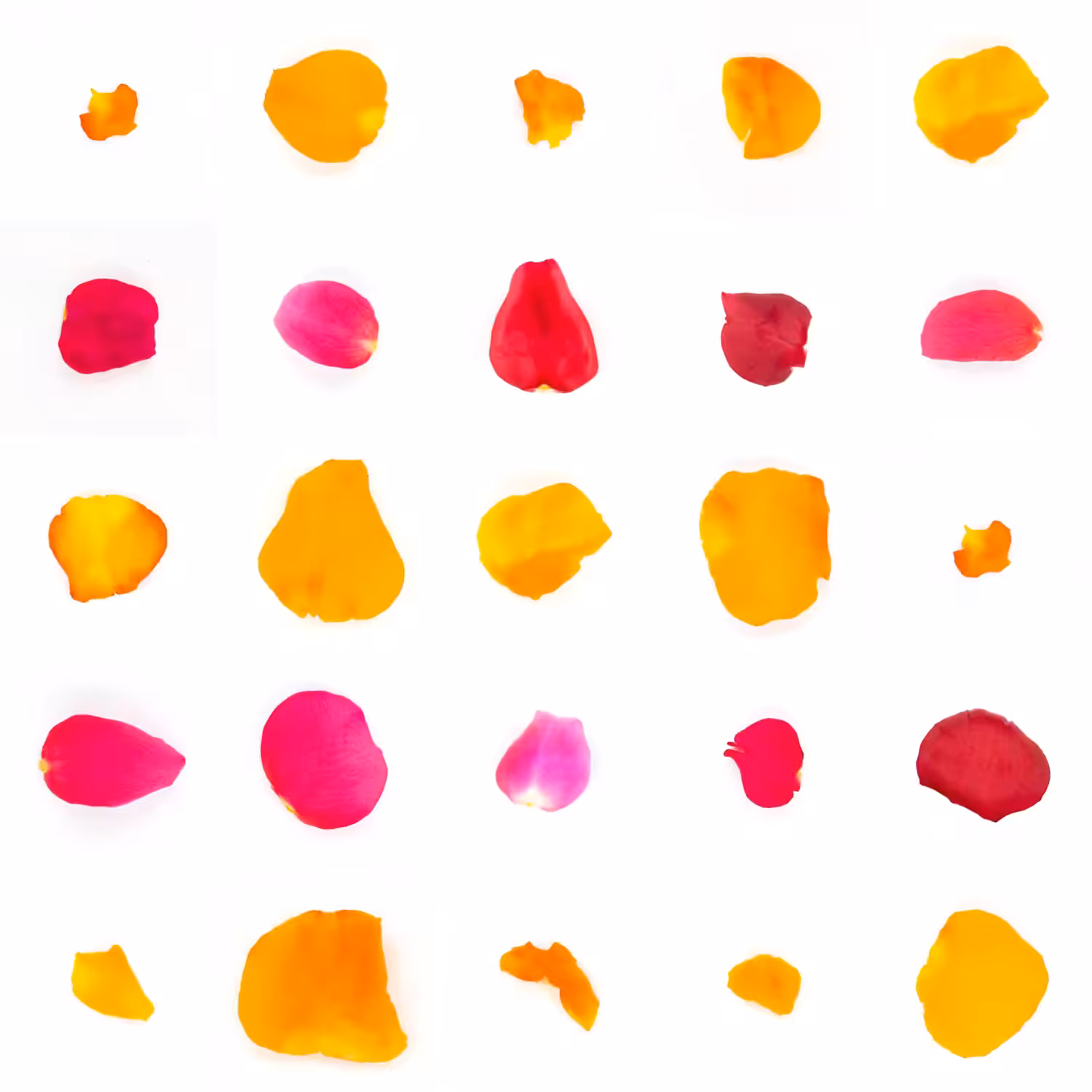 Infinite Petals 5x5#20767