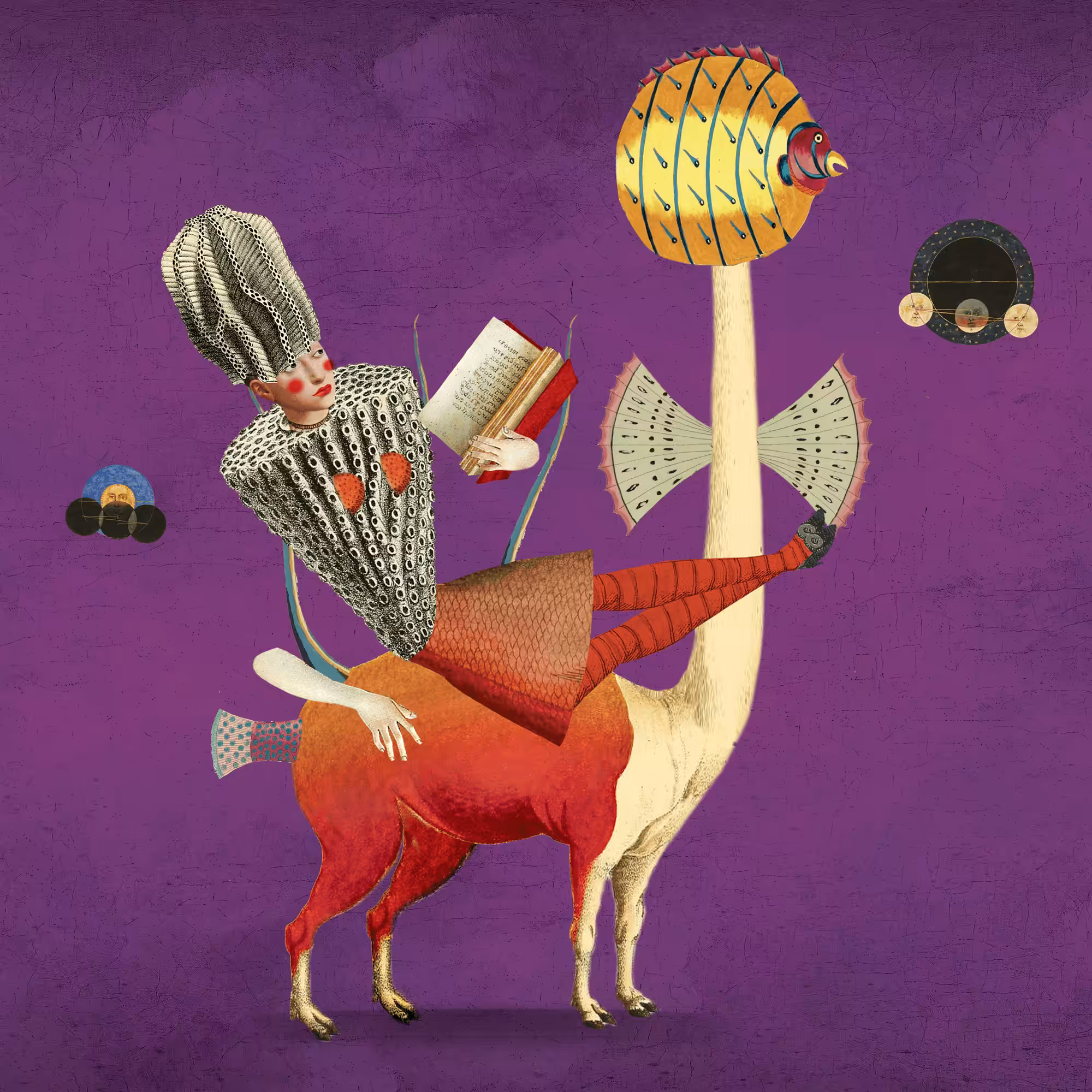 The Impossible Creatures: Impossible Creature #2