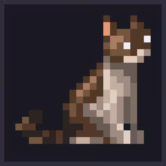 Cat#14