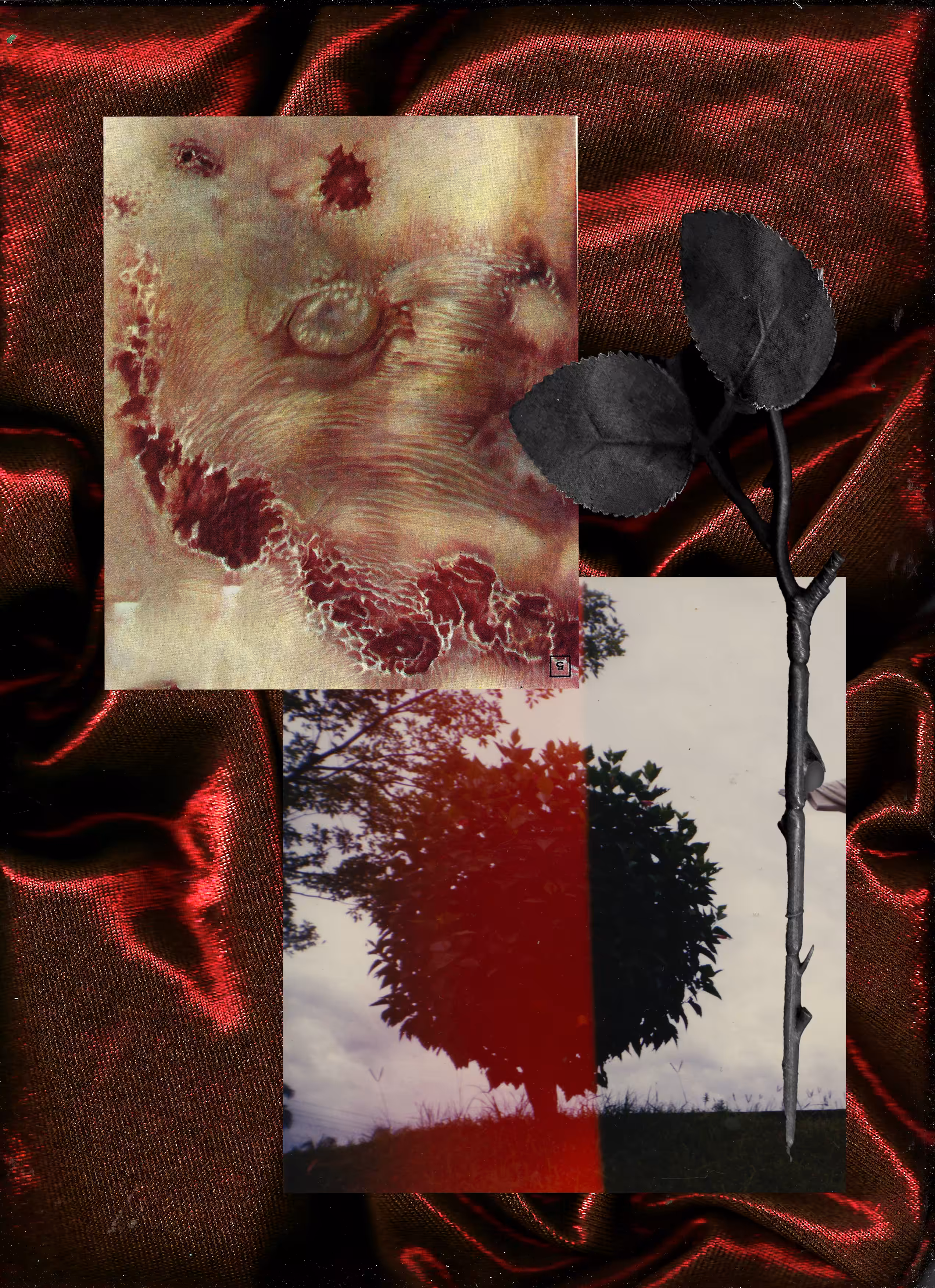 emancipate I