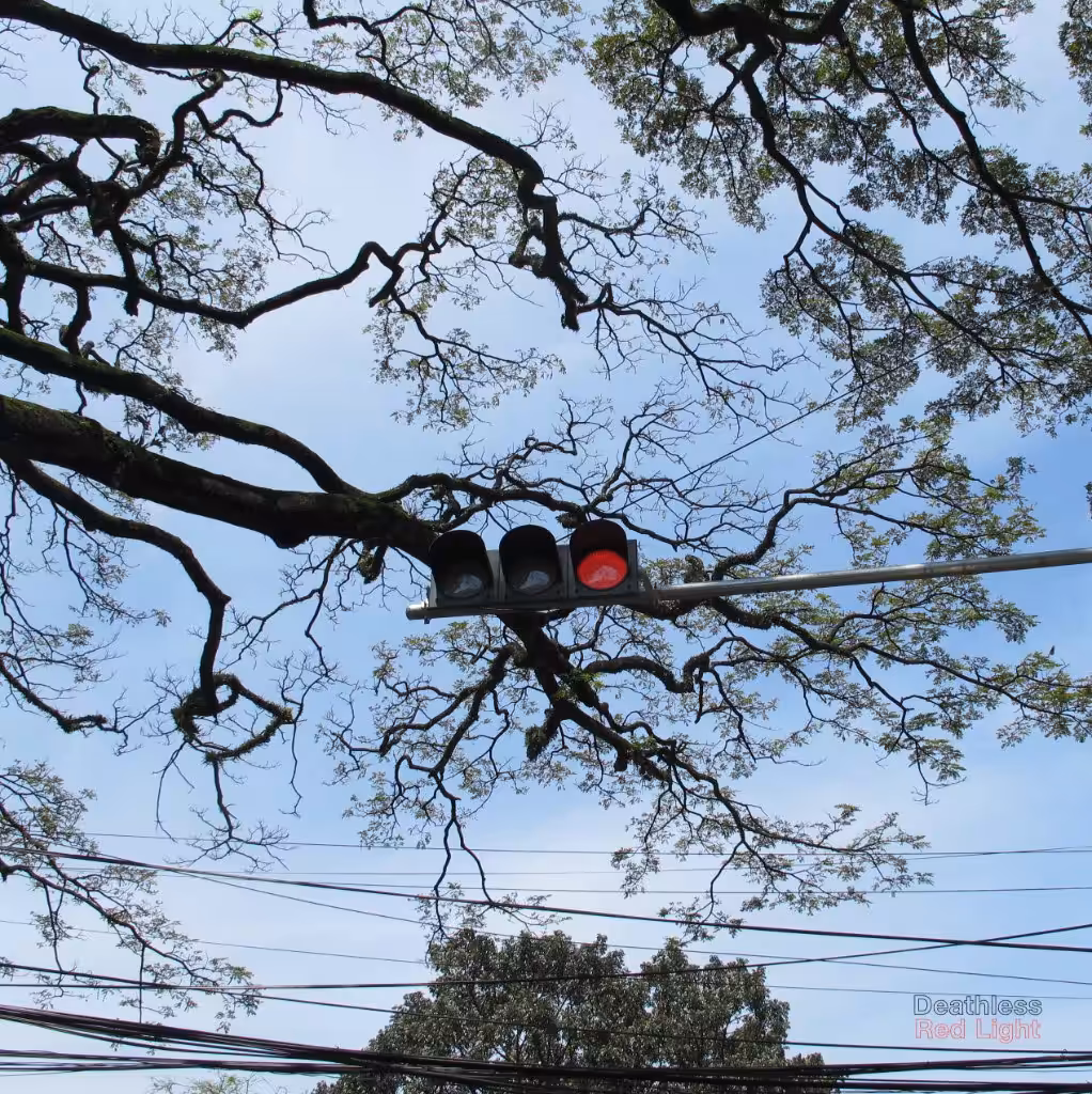 Deathless - Red Light