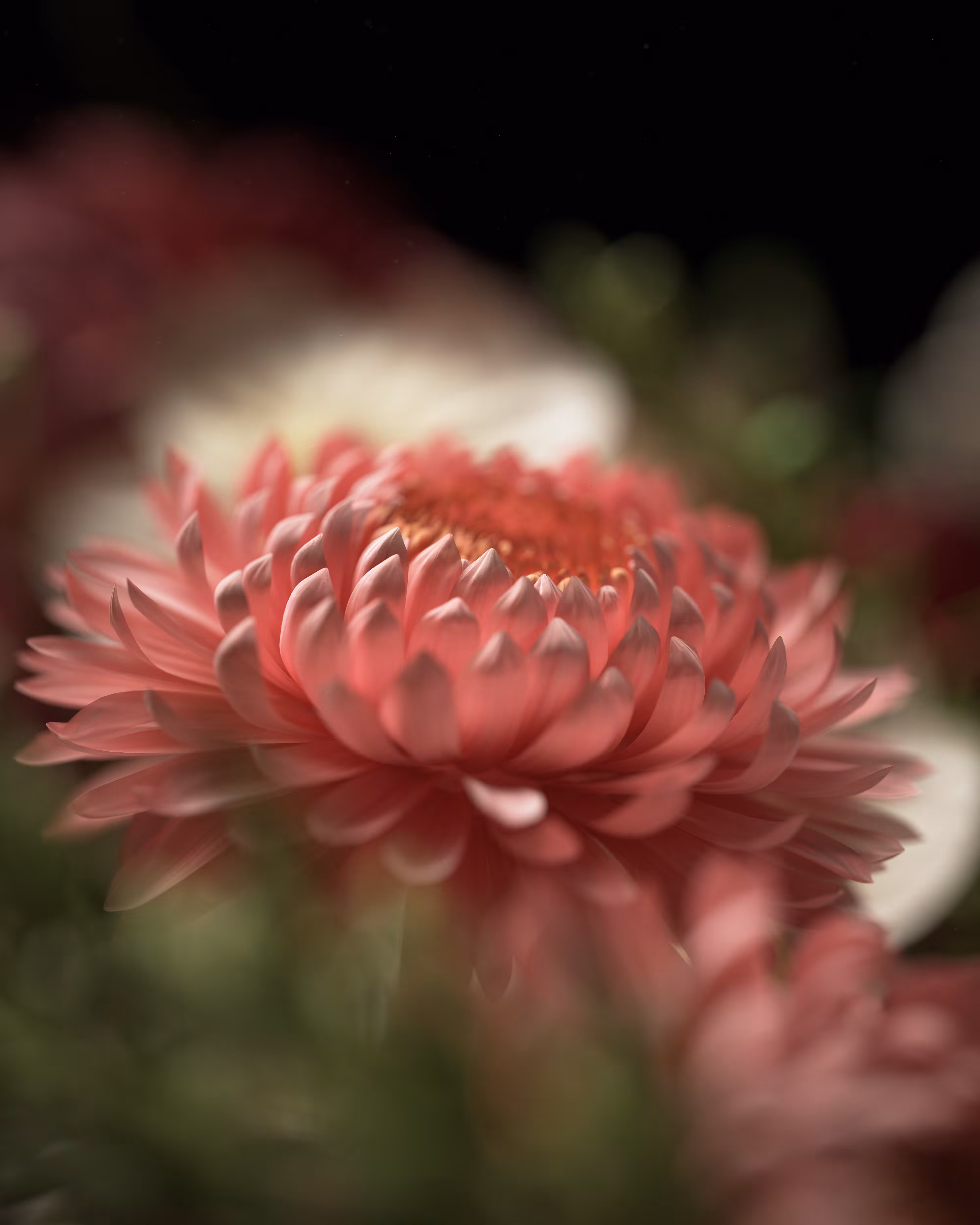  #2 Flora