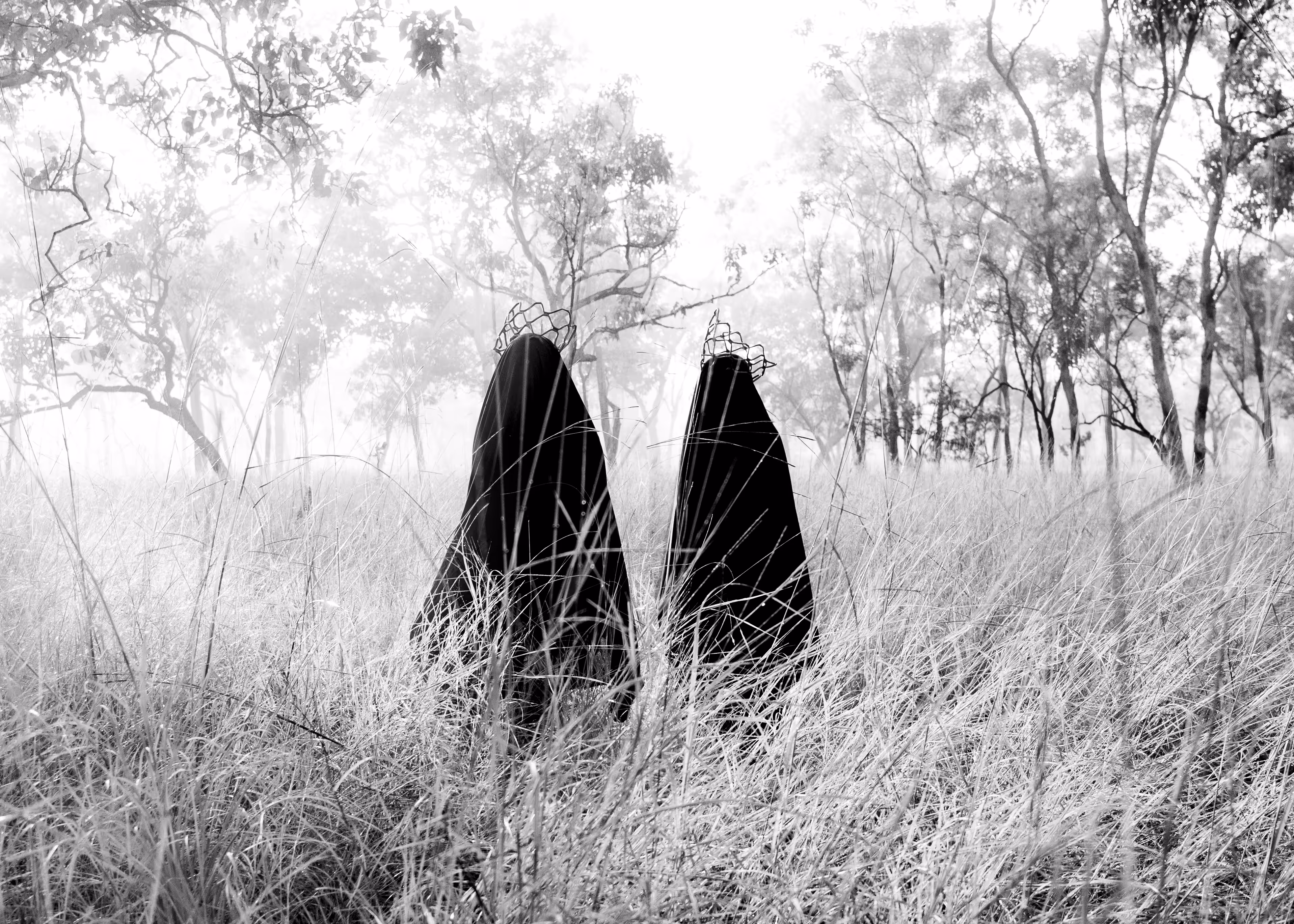 Dark Queens
