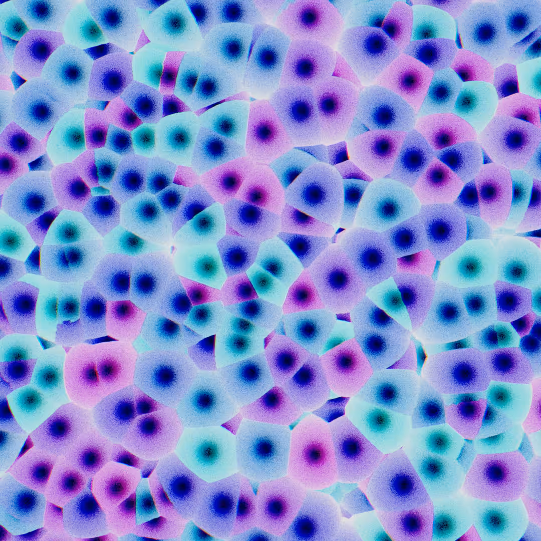 Cells