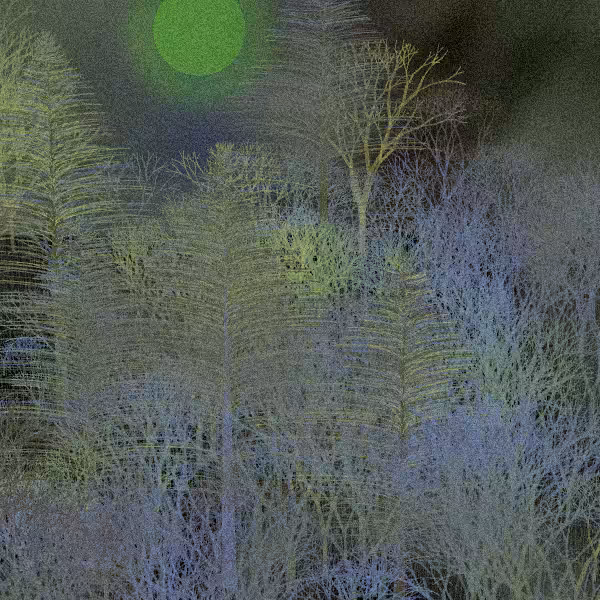 Moonlit Native Bush #21