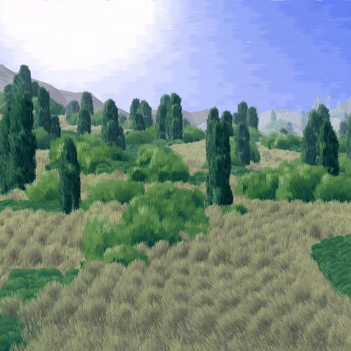 Provence #393
