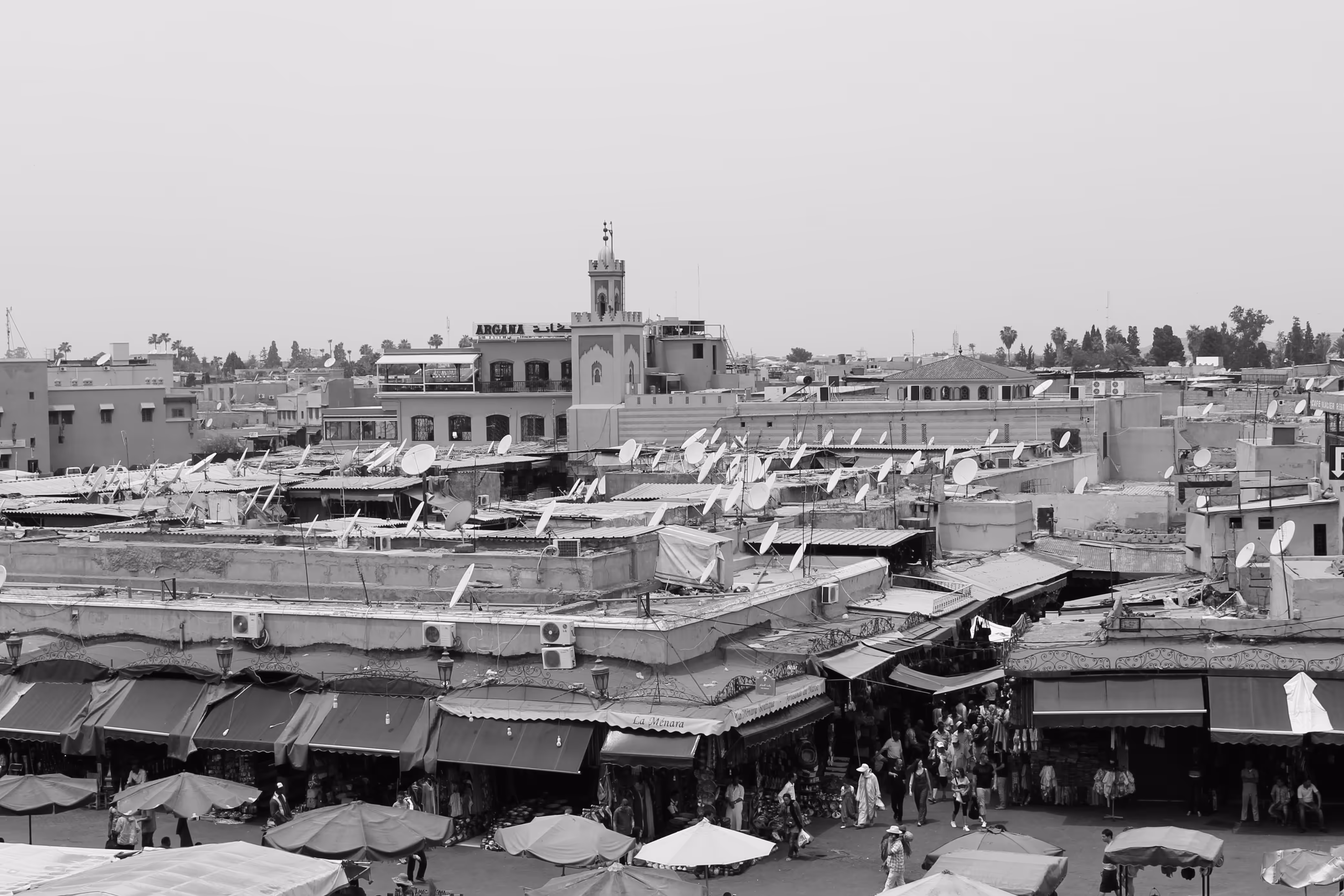 Photograph 3