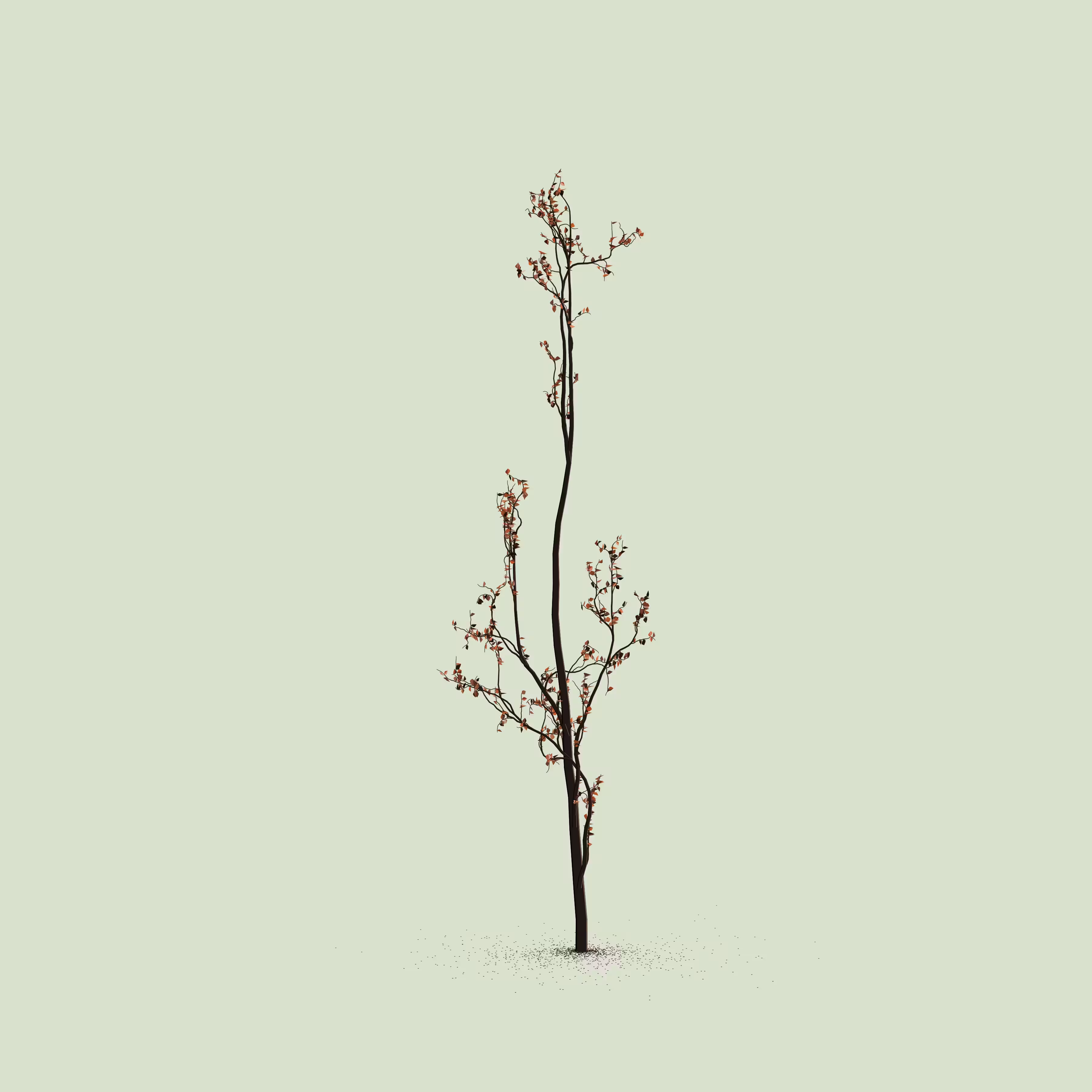 Little Trees #154
