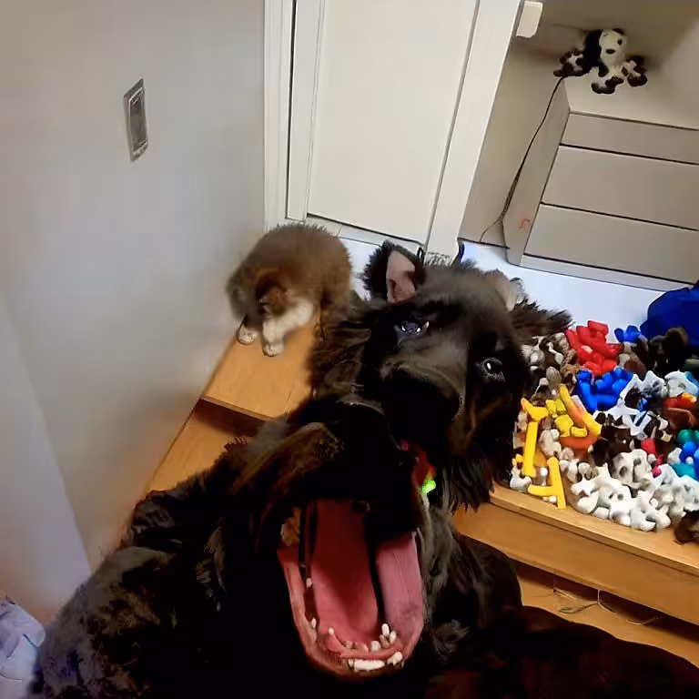AI Man Caves: Good Boy Biscuits