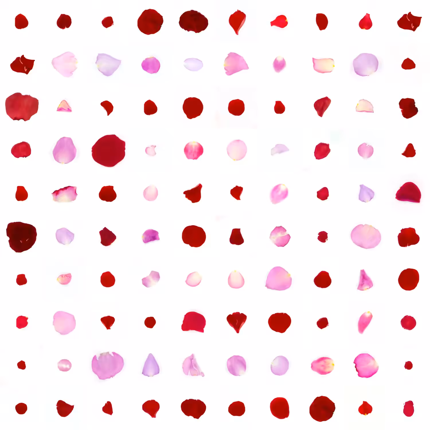Infinite Petals 10x10#1393