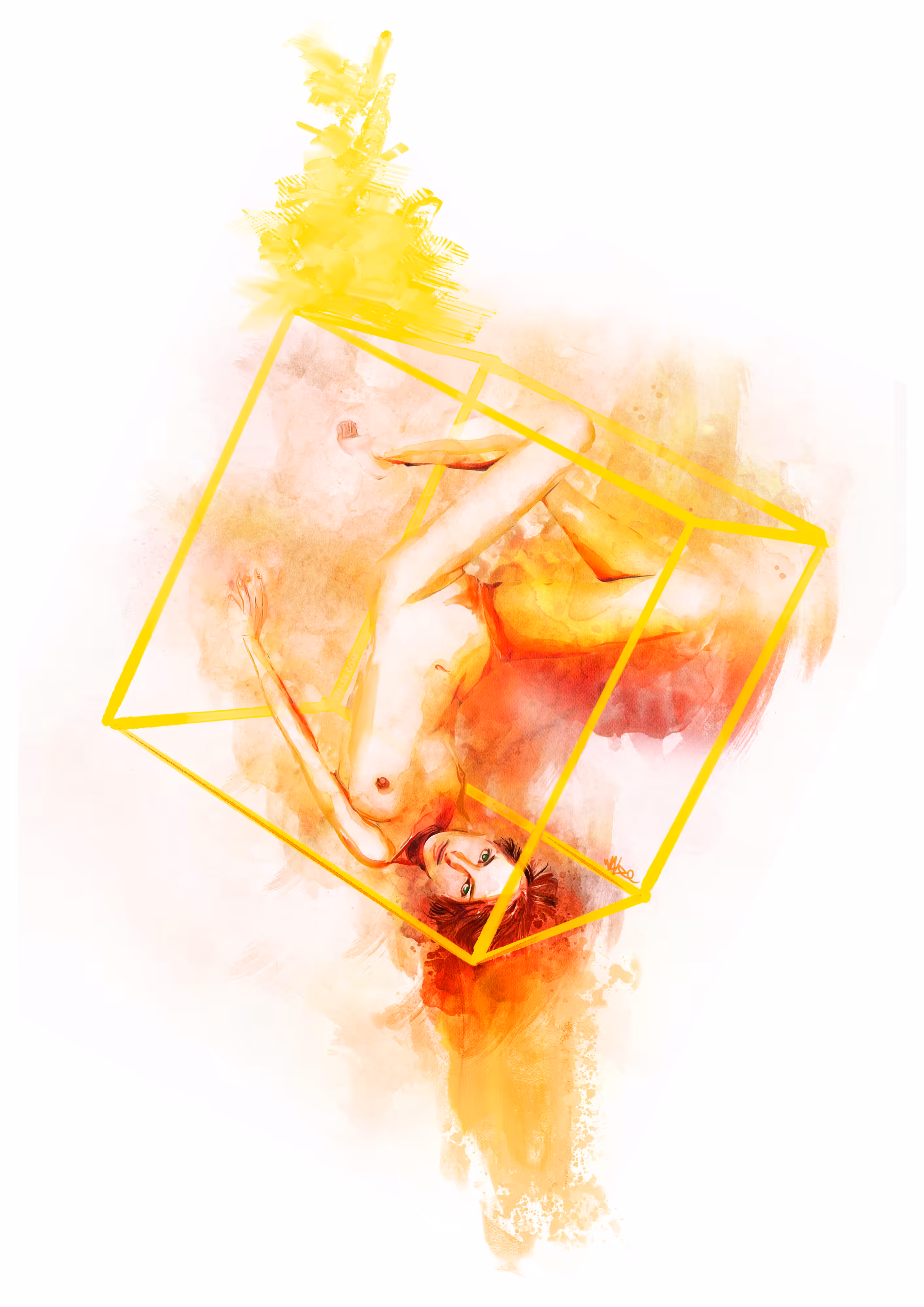 PLATONIC SOLIDS - HEXAHEDRON
