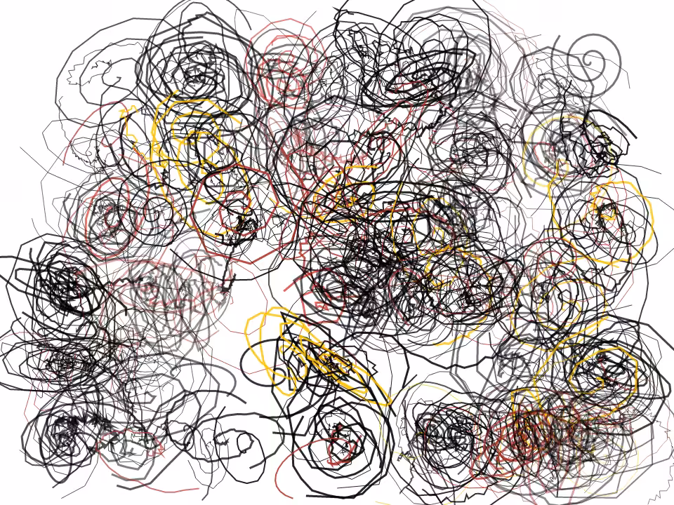 Bangert Hair Spirals #19