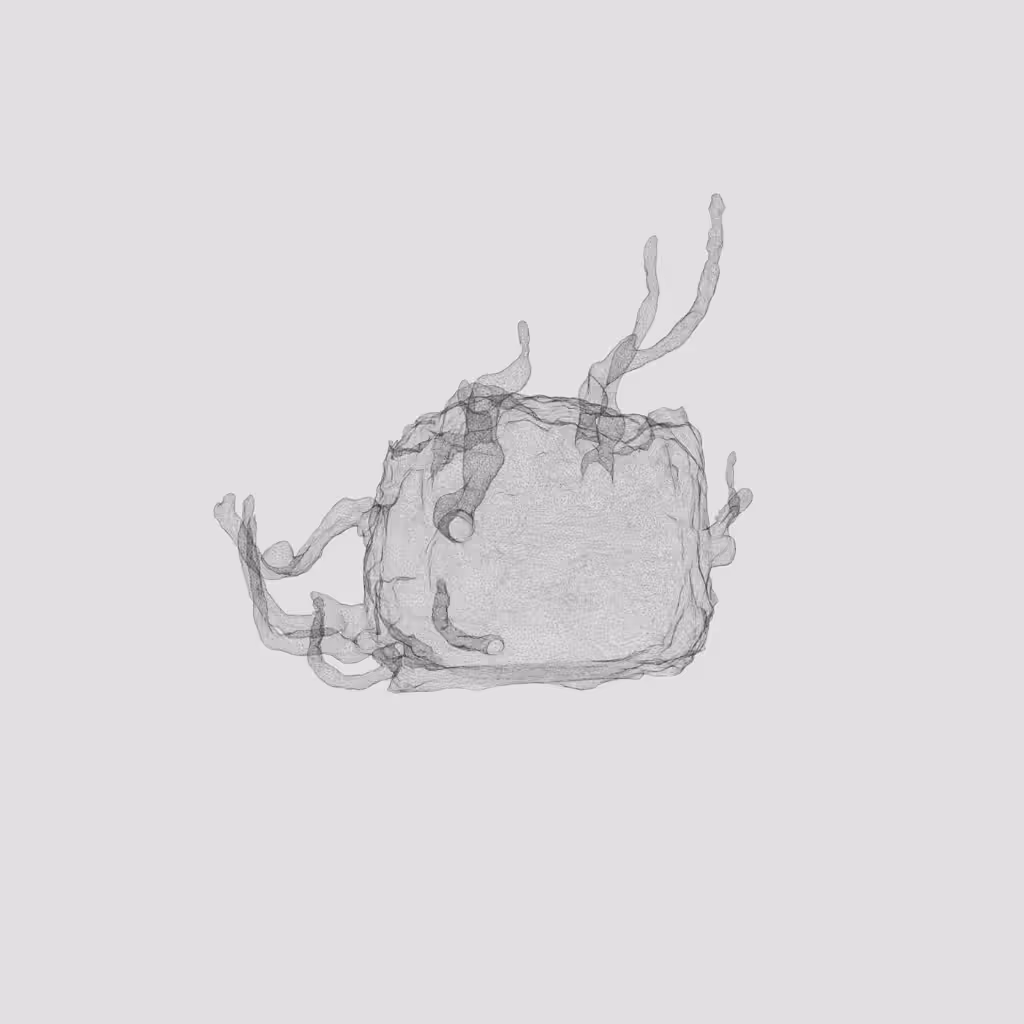 Non-Fungible Fungi / 3D Model