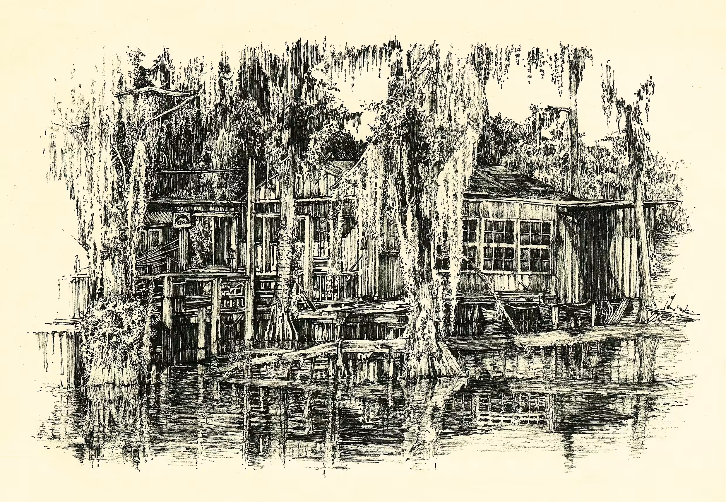 Overgrown house