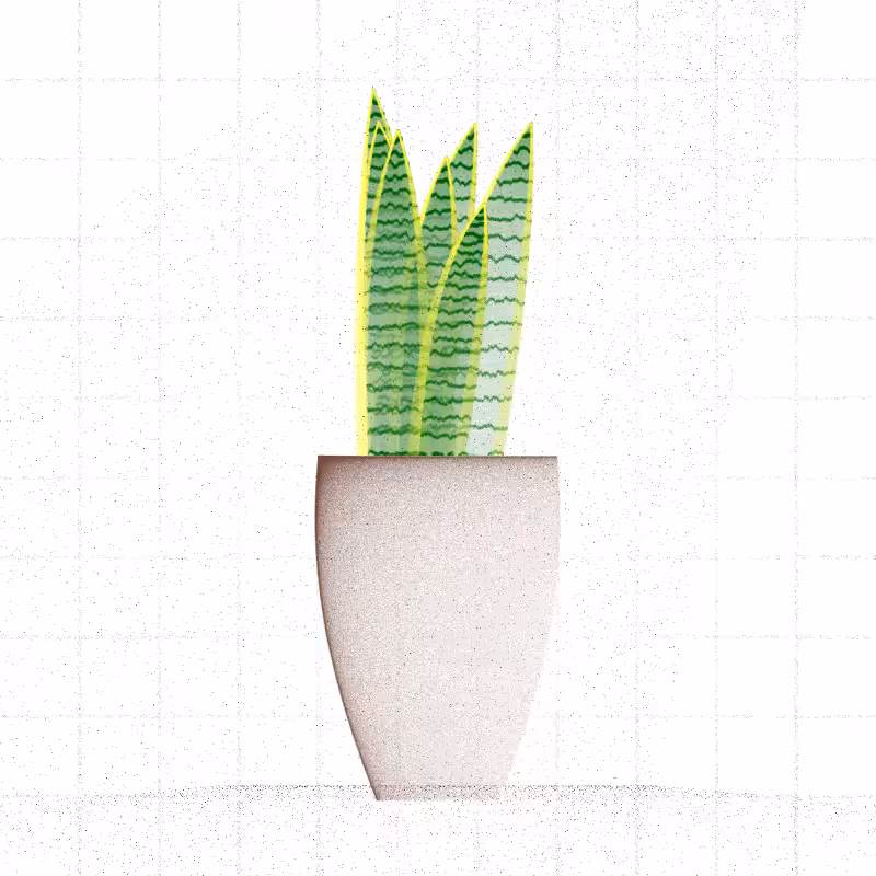 🌱 Potted & Printed #57