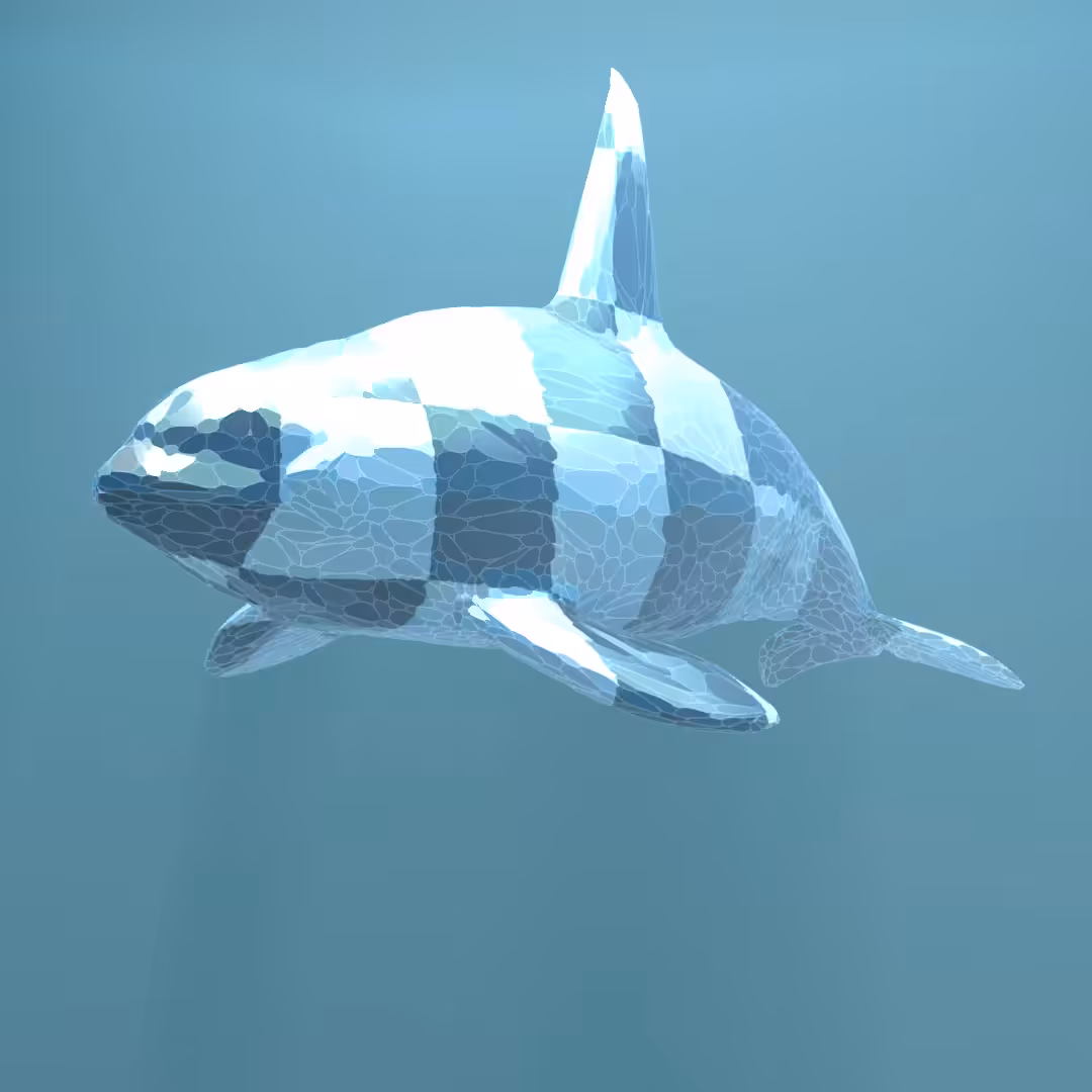 Killer Whale