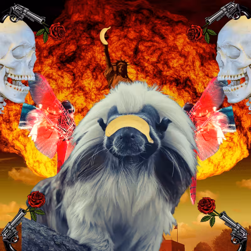 Blinded apes
