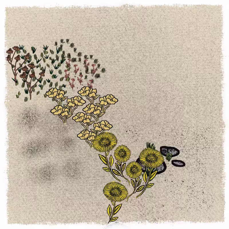 Gardens  #6