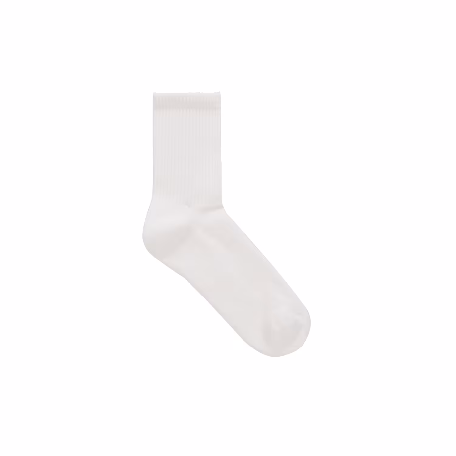 100 Everyday Items: Sock
