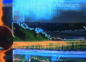 AI_NIMA/-244