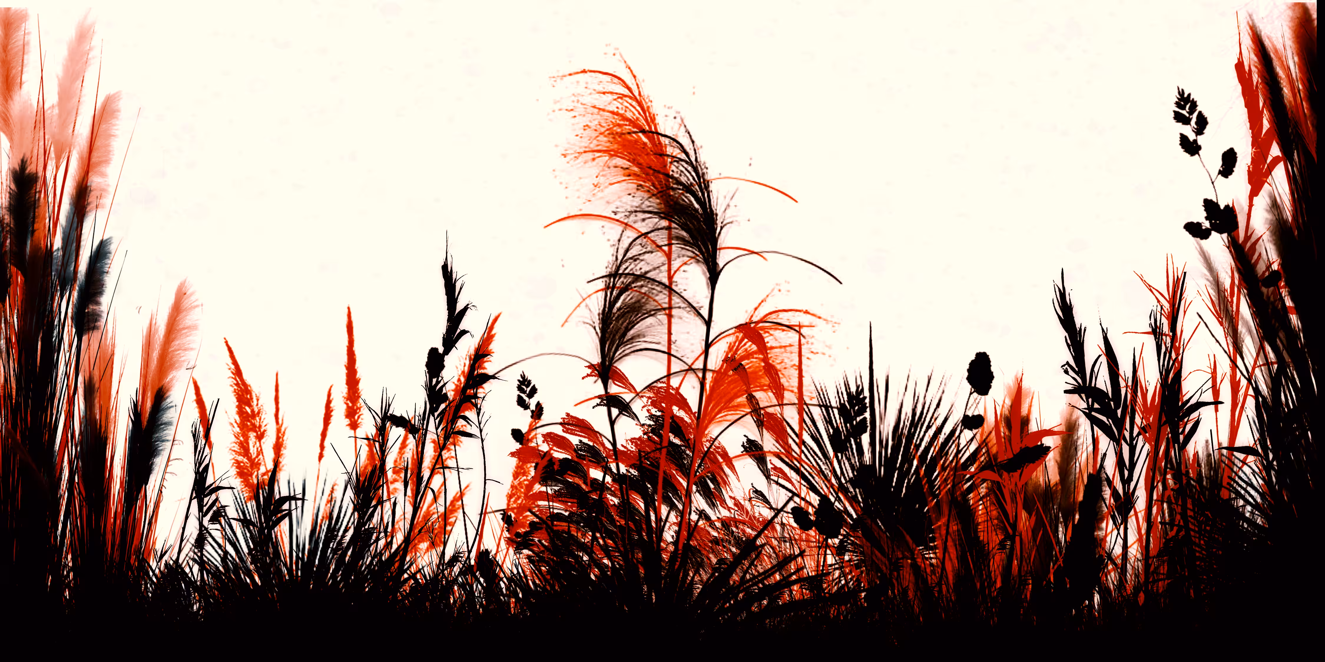 NaturalGarden Part2.Color's Anomaly
