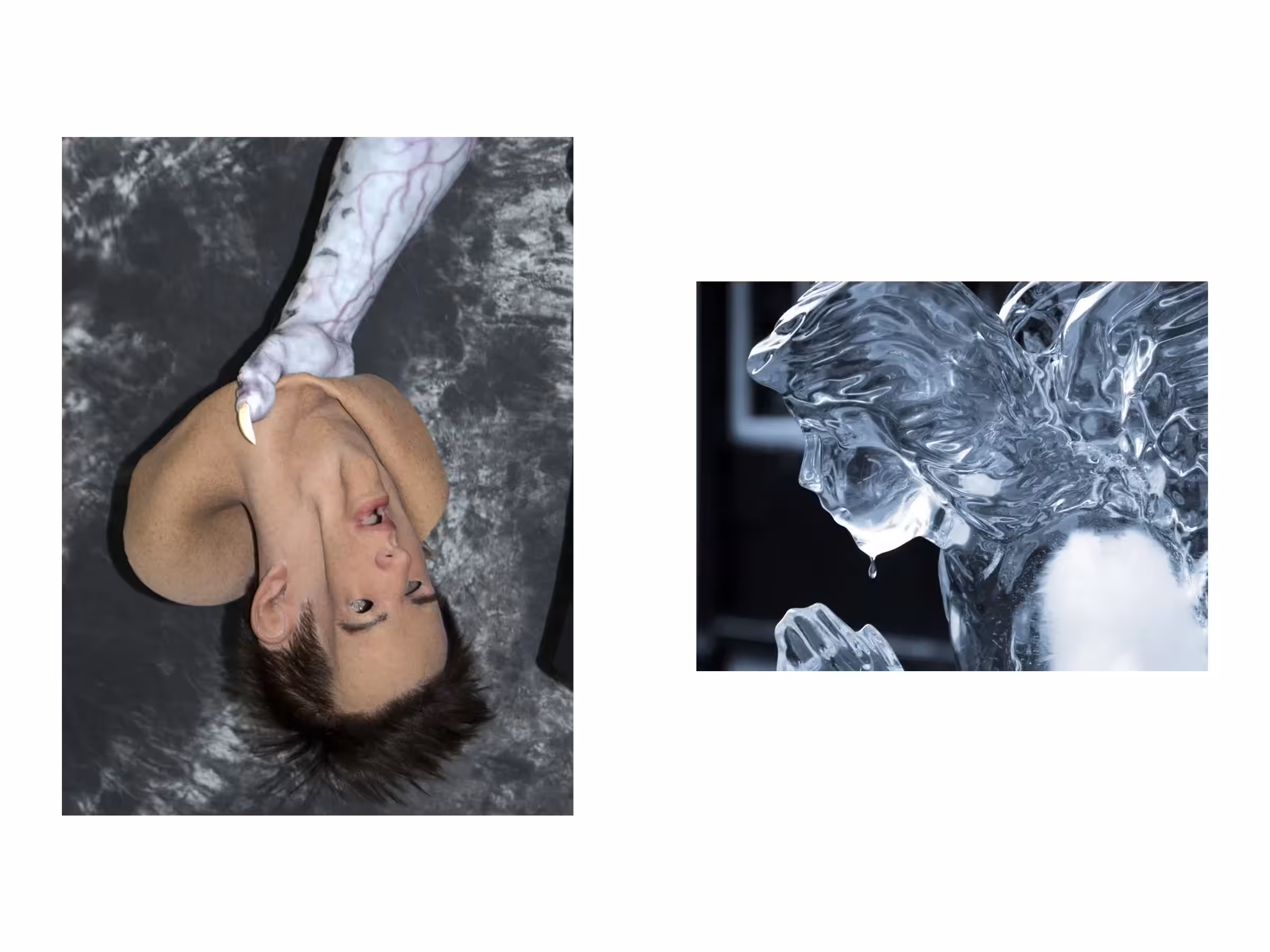 Rodeo posts: two images 1/19/25