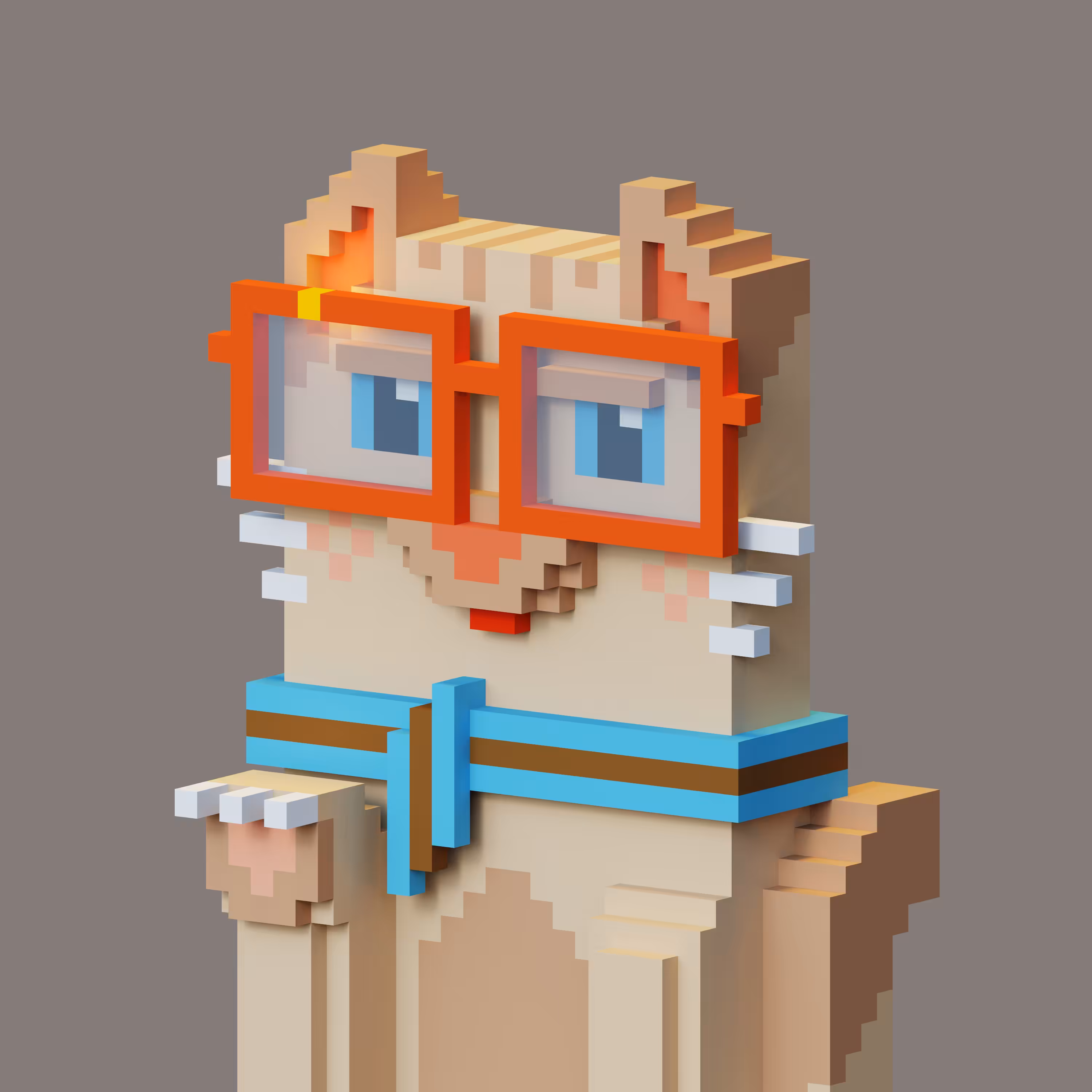 Pets Voxel 31 | Cat