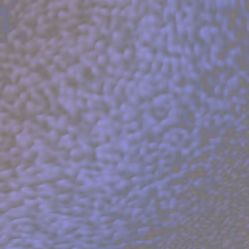 Noise Corals #33