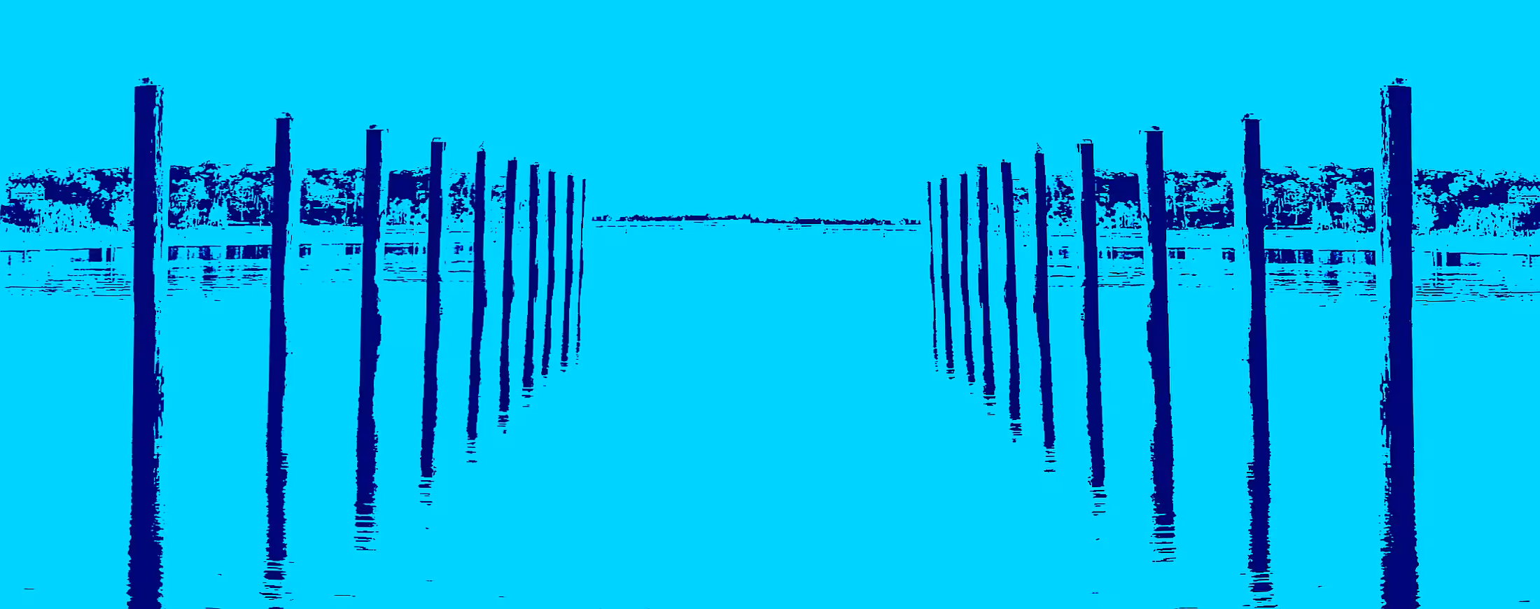 The Path Forward