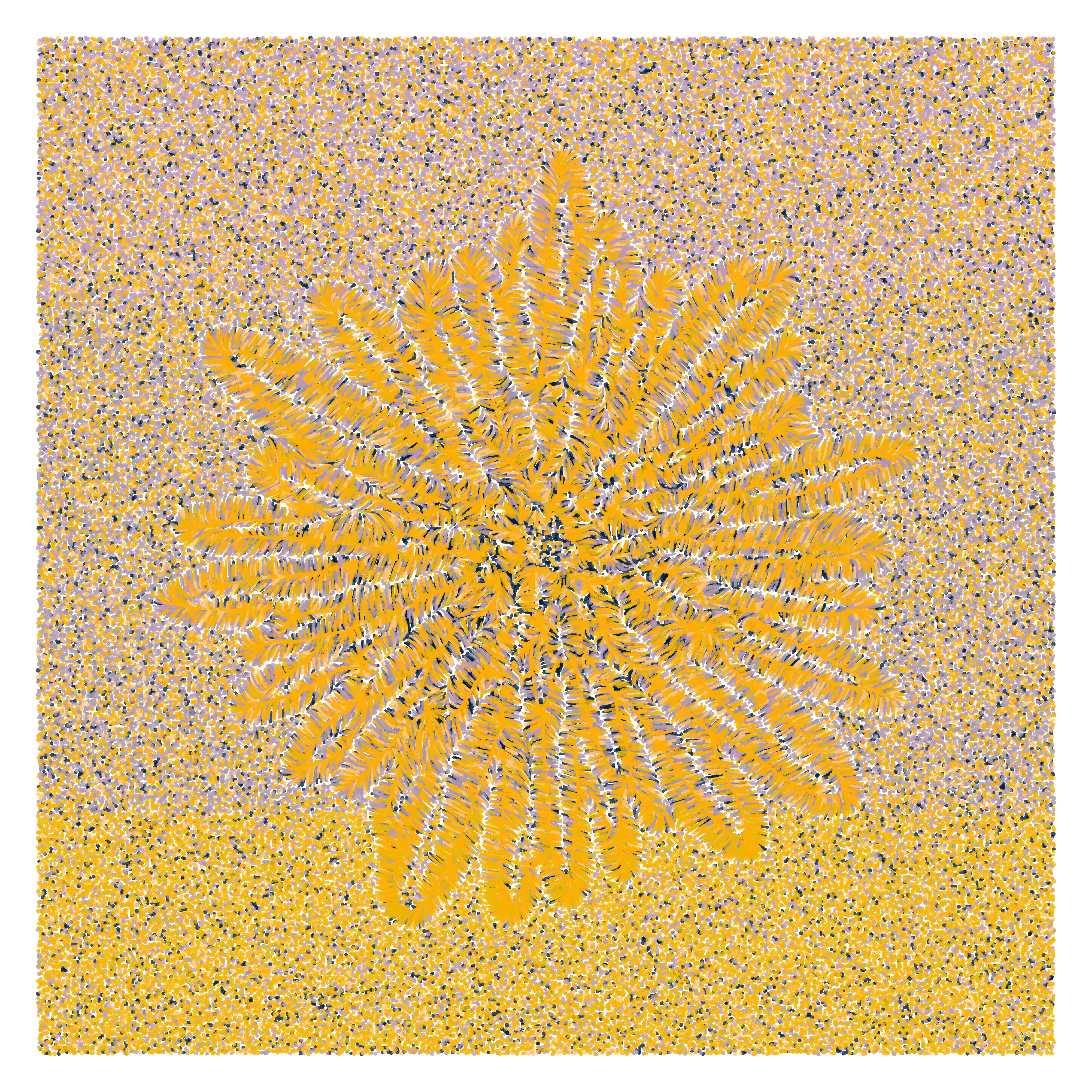 Flower Portrait #23