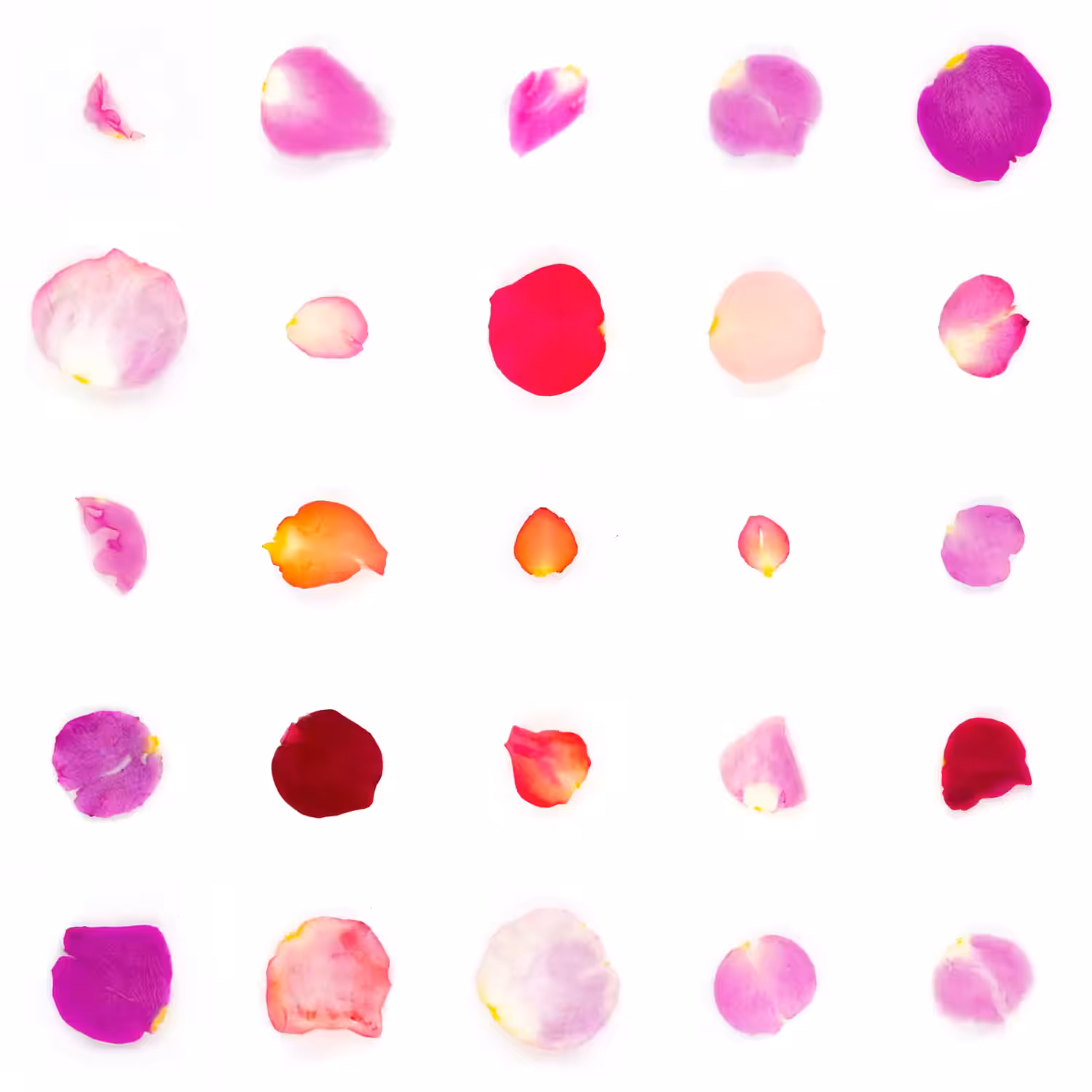 Infinite Petals 5x5#20918