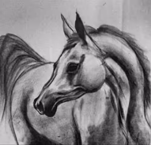 white mare