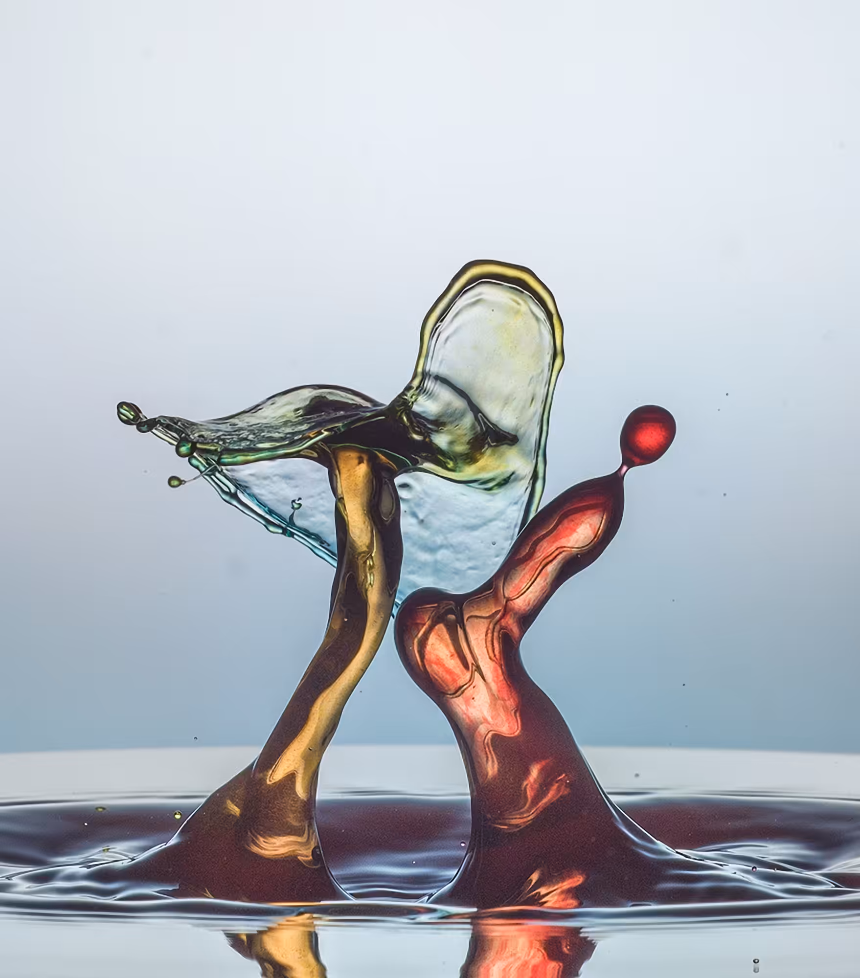 Drop's love