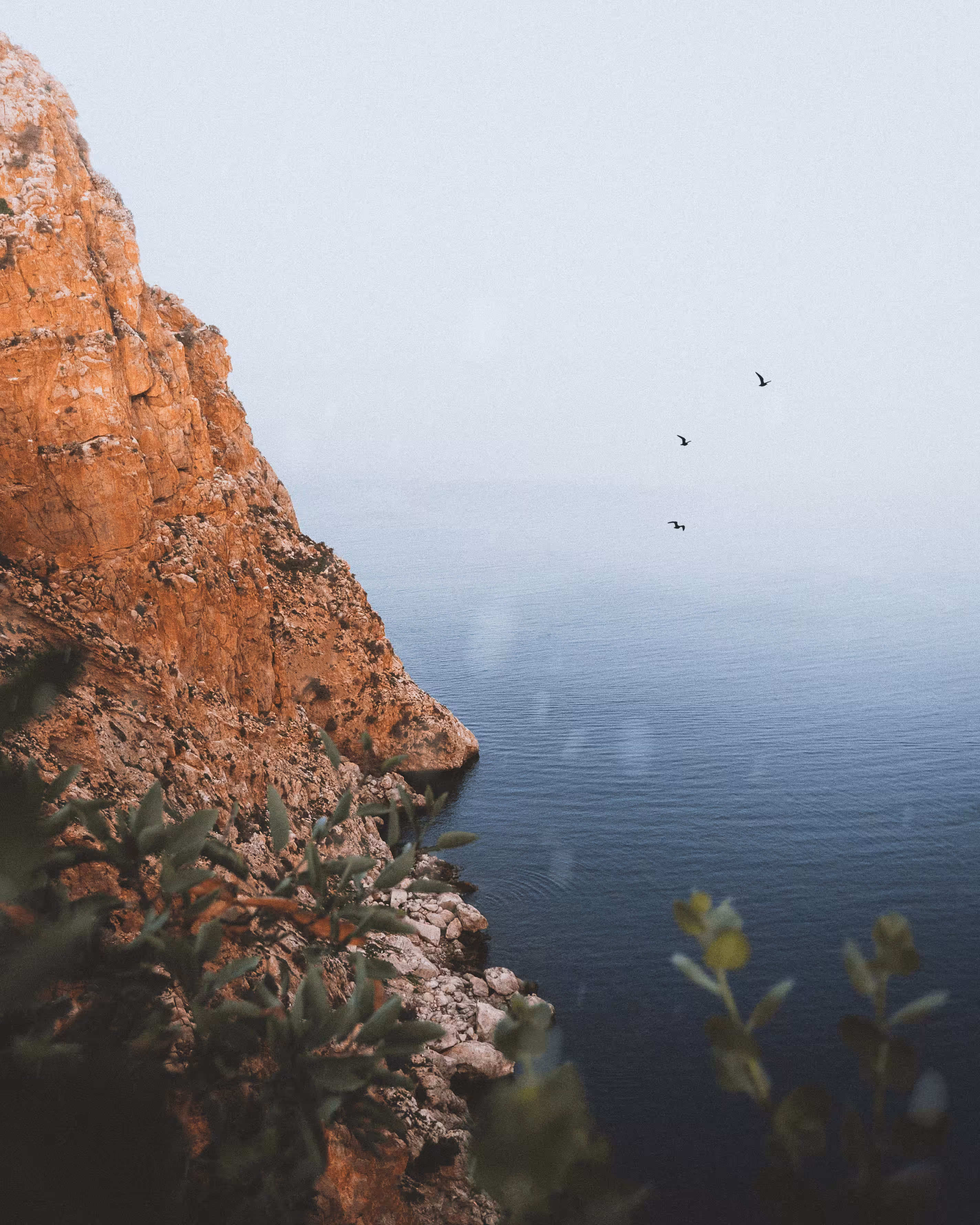 Mountain dream