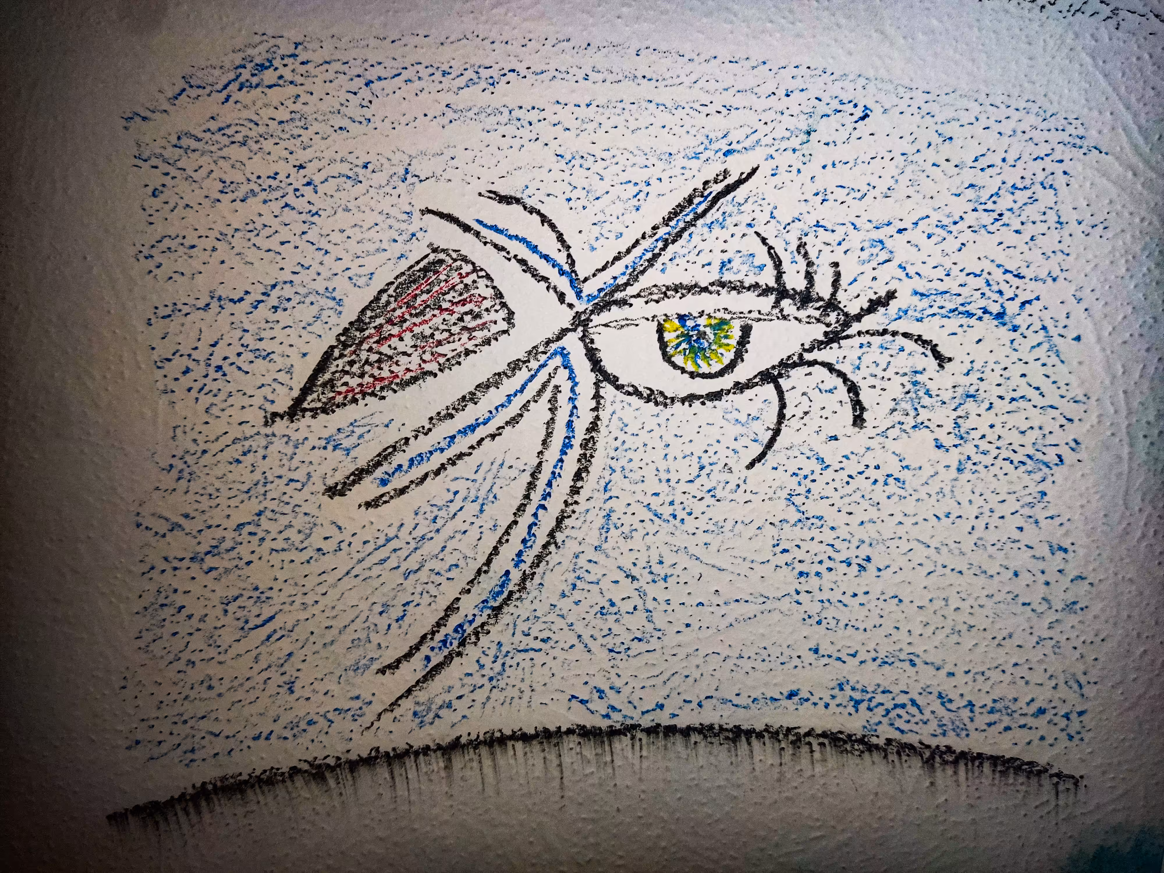 The eyes of the world