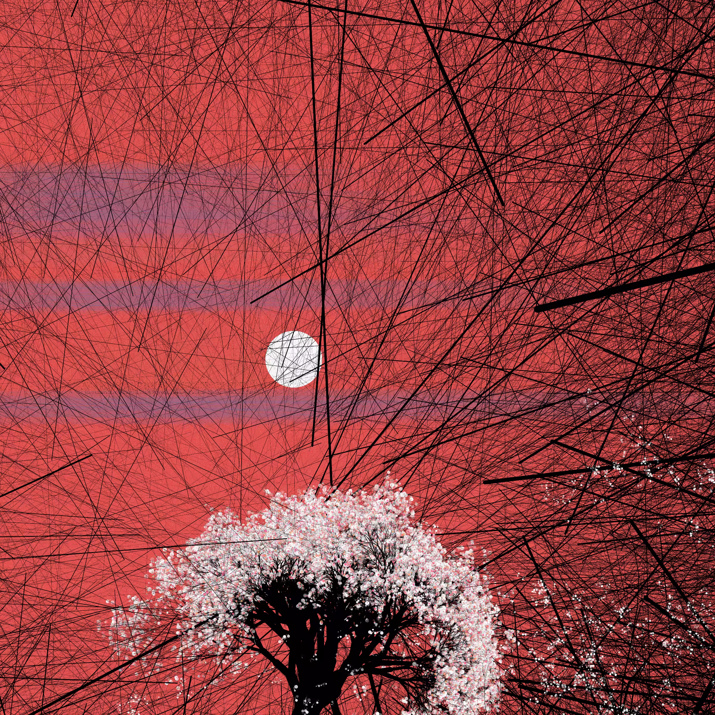 conversation with the wind #825