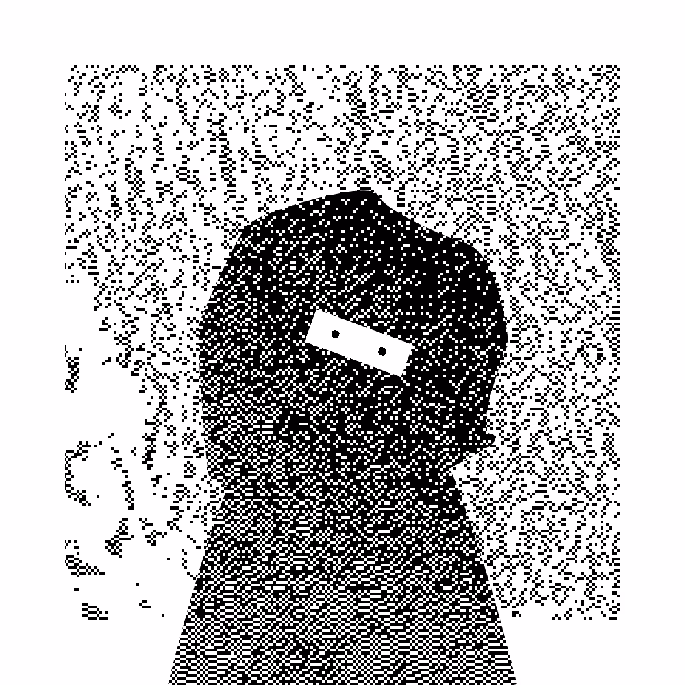 Missingno #207