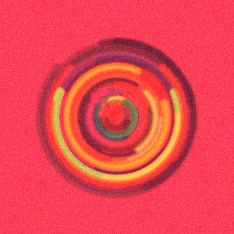 Wisp #230