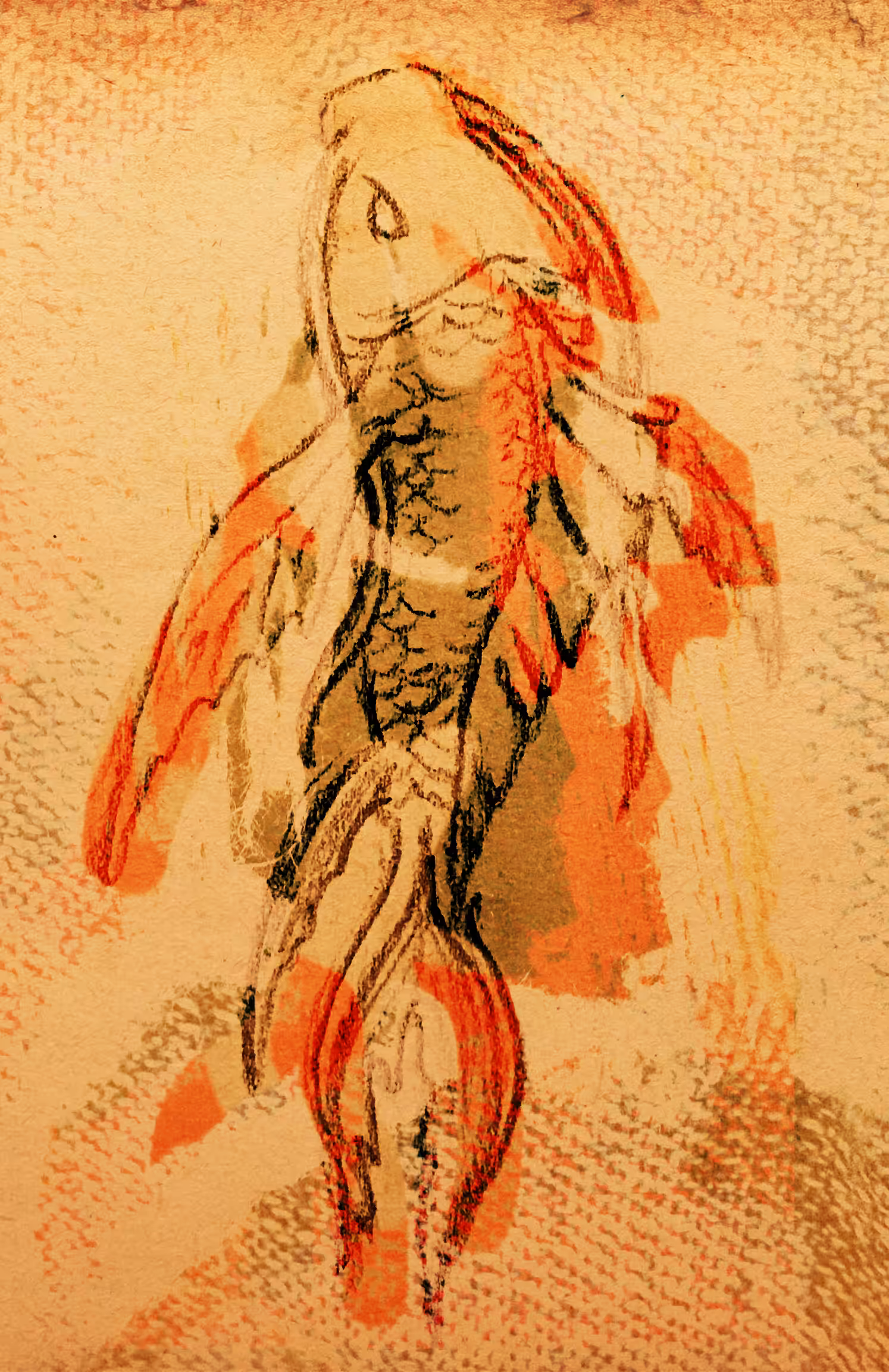 That fish