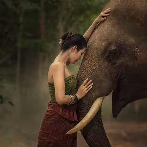 Portrait of a beautiful girl with her elephant #1