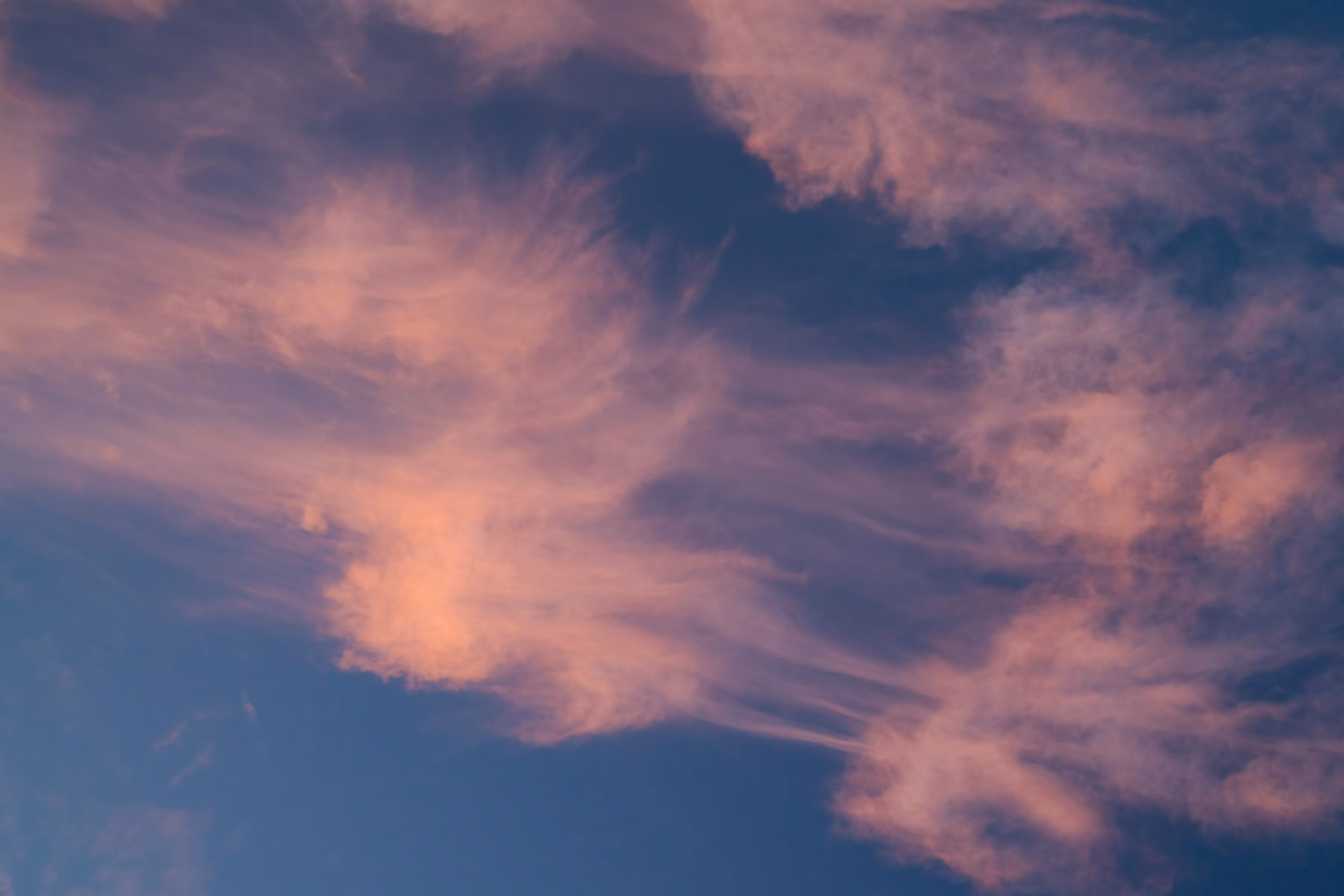 SKYFIRES: Jellyfish