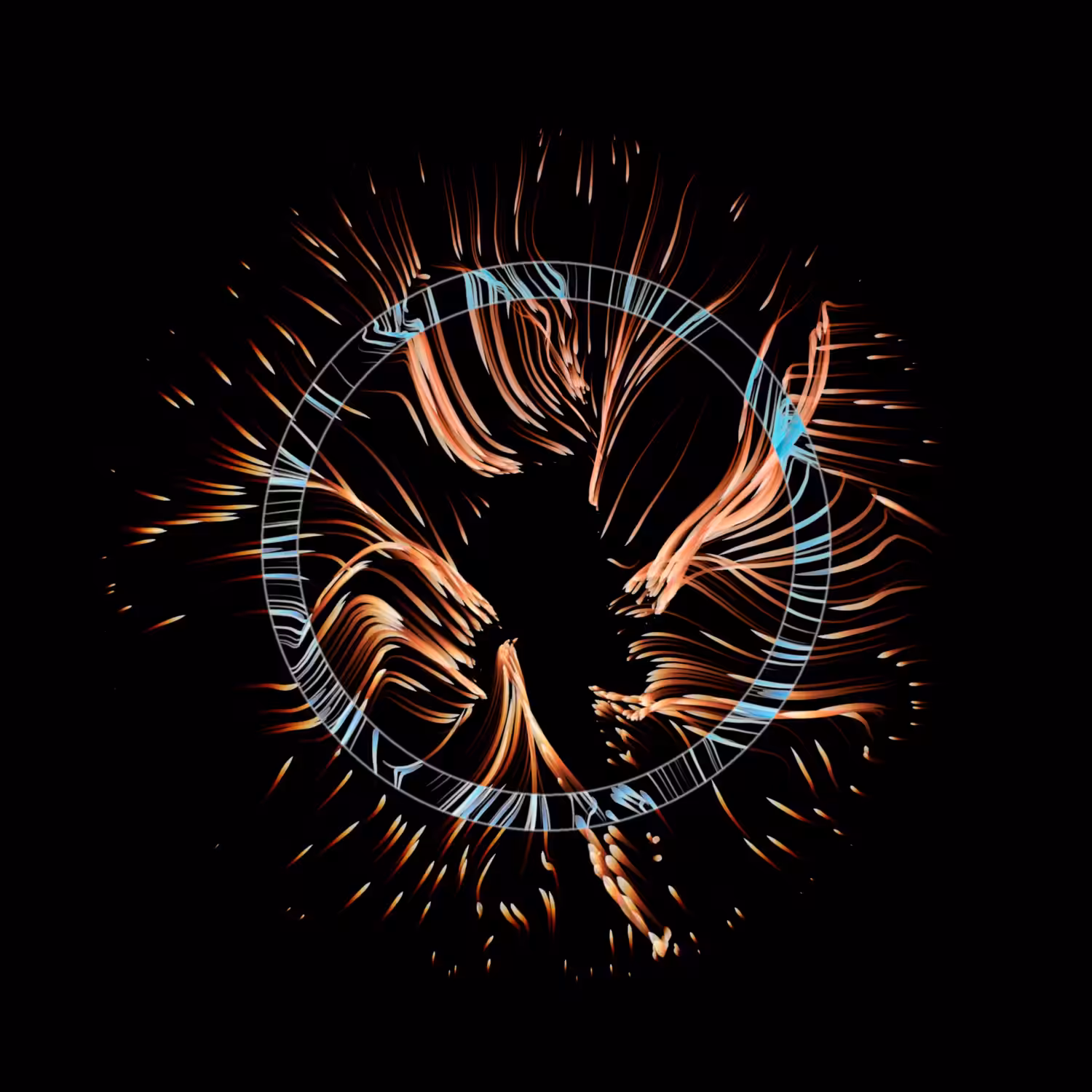 Vortex #1164
