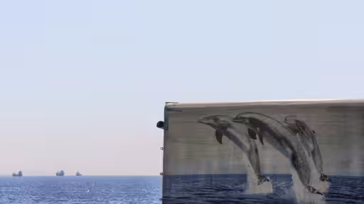 Three Dolphins